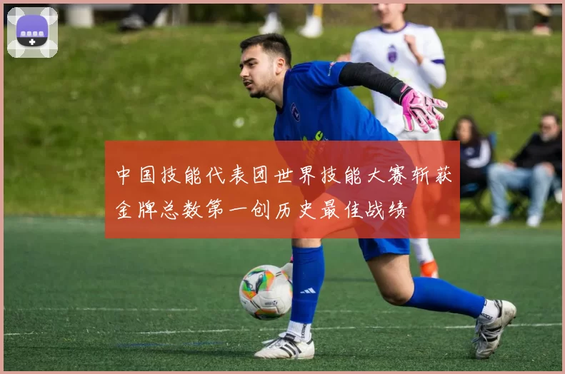 中国技能代表团世界技能大赛斩获金牌总数第一创历史最佳战绩
